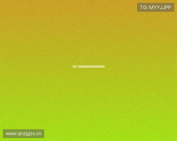 闪电TV官方下载中心最新资源与功能全面指南